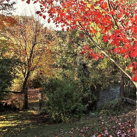 Mole Creek Guesthouse Exterior foto