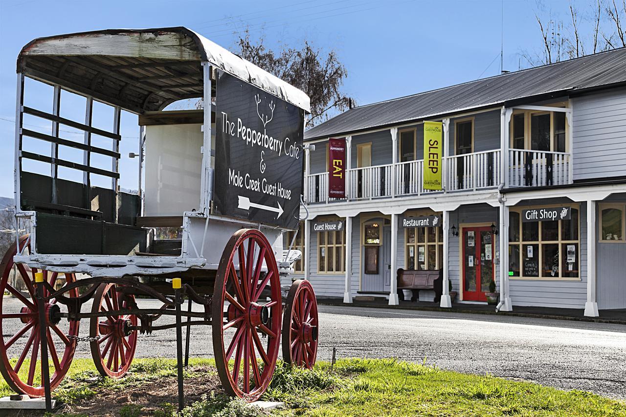Mole Creek Guesthouse Exterior foto