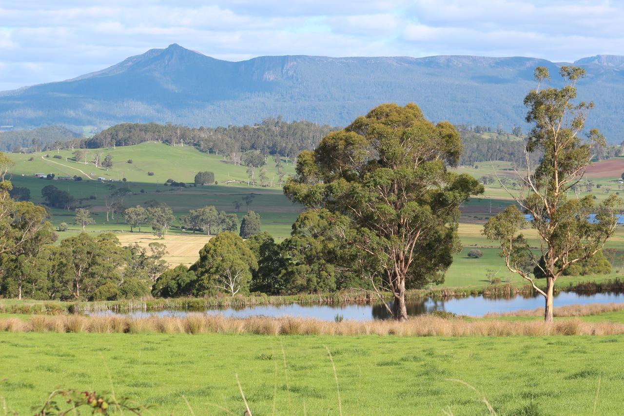 Mole Creek Guesthouse Exterior foto